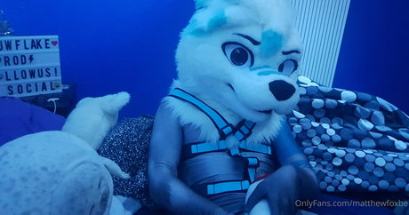 matthewfoxbe star top image