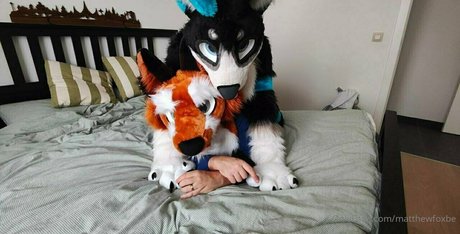 matthewfoxbe Quick photo