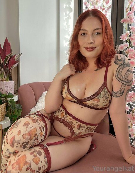 yourangelkat nice star galleries