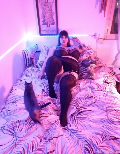 bbwaltswitch sexy star galleries