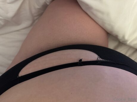 cookie bbw pretty star gallery