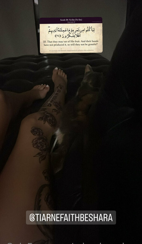 misschaneloxo star sex photo