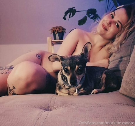 prone onlyfans free archive