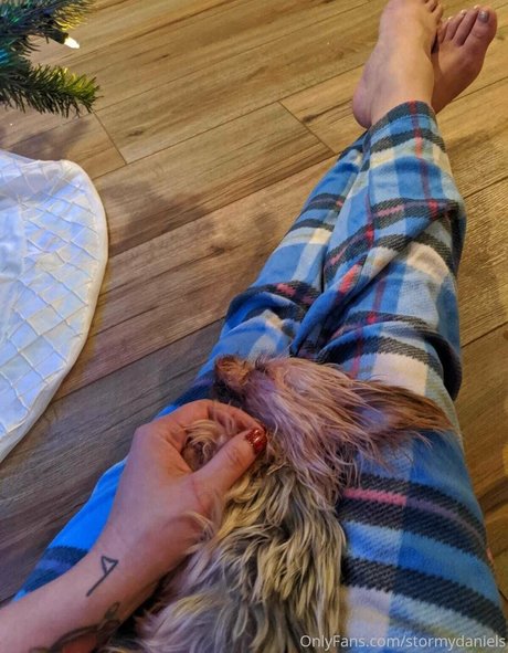 stormydaniels adult model picture