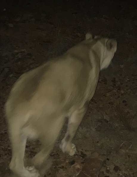 gay fuck onlyfans exclusive image