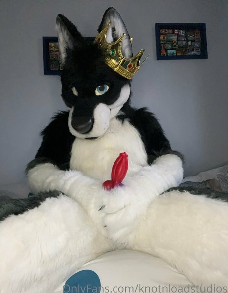 knotnloadstudios star sexy pics