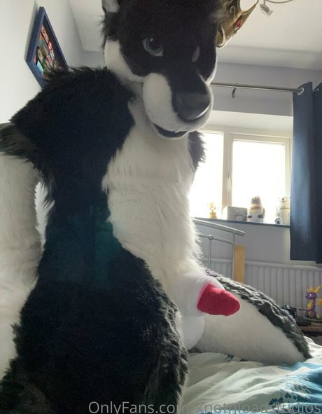 knotnloadstudios pretty pornstar image