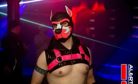 knotnloadstudios star images