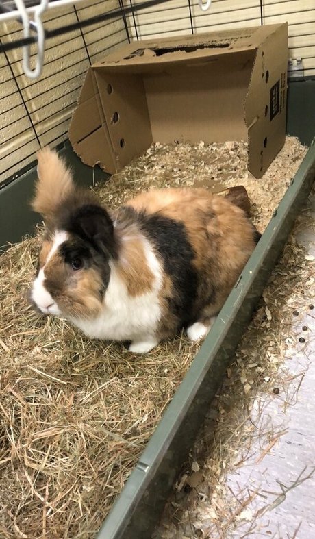 onlyfans creampie beautiful porn galleries