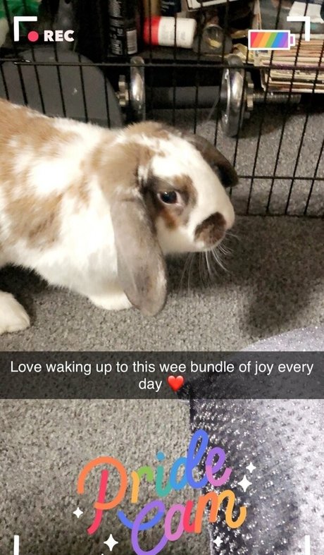 anal xxx onlyfans sexy nude picture