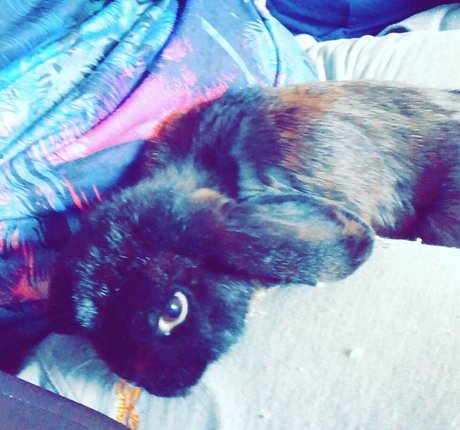 lothianjamie best model pics