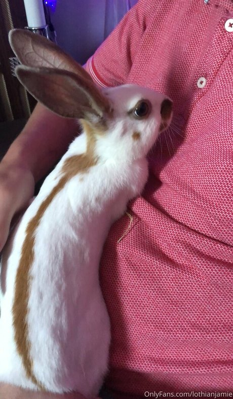 lothianjamie art model picture