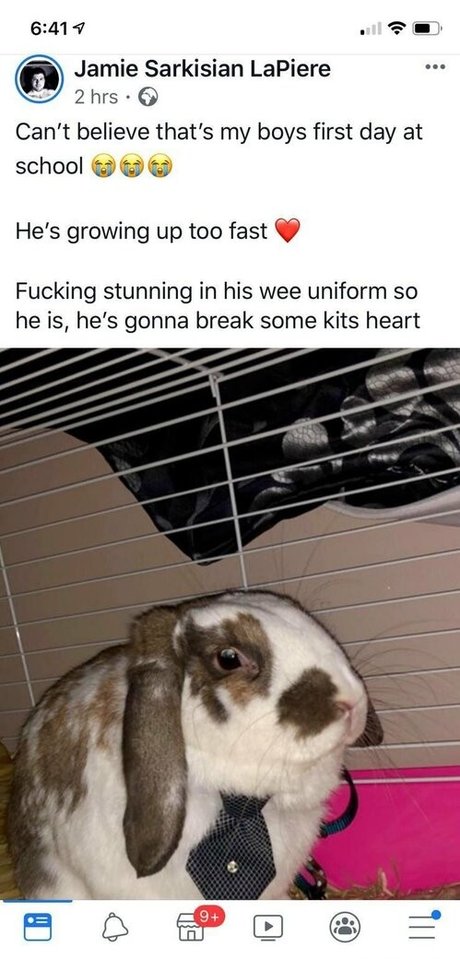 lothianjamie pretty actress images