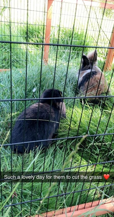 lothianjamie star sexy pictures