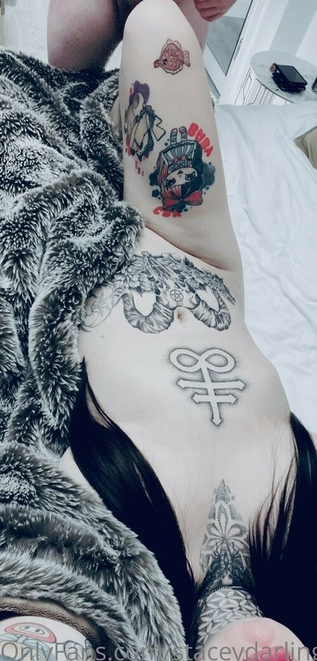 Staceydarling15 model top img