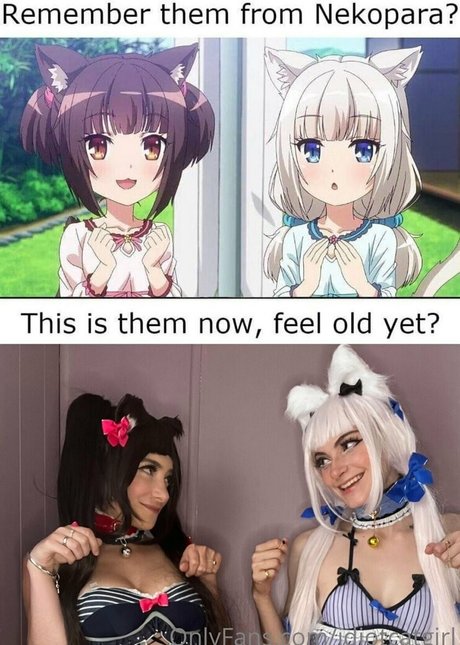 idiotcatgirl star art image