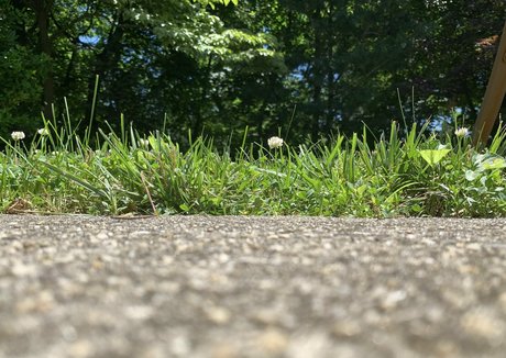 sizeplayproduct porn star photo