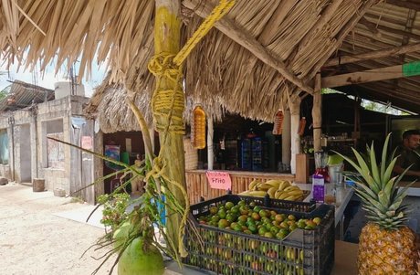 Helia Soltani star perfect images