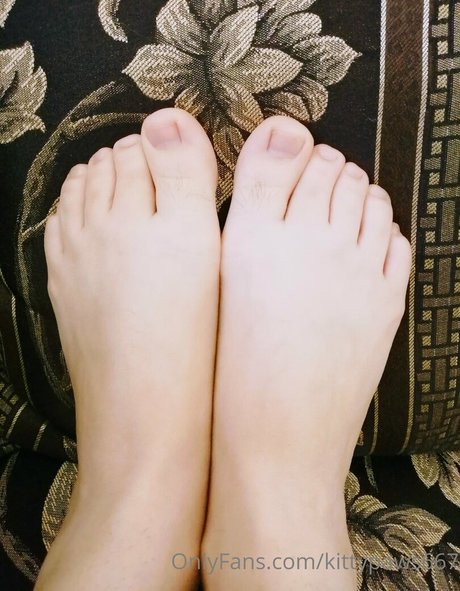 kittypaws667 star high quality picture