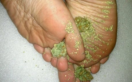 lelannifeets hot pornstar img