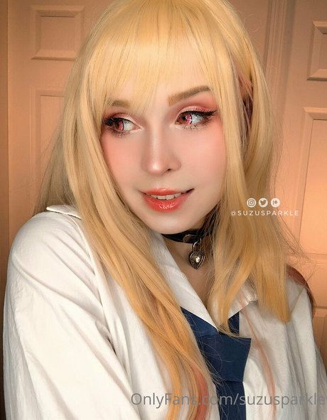 Suzusparkle model art gallery