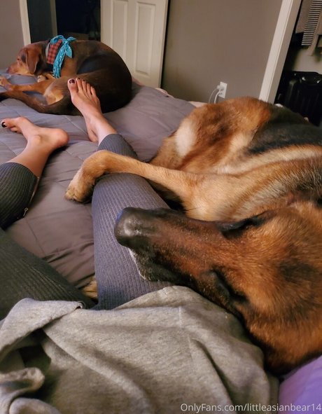 bunny princess onlyfans nude gallery