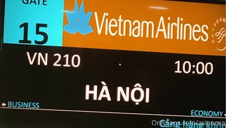 asianeva art actress archive