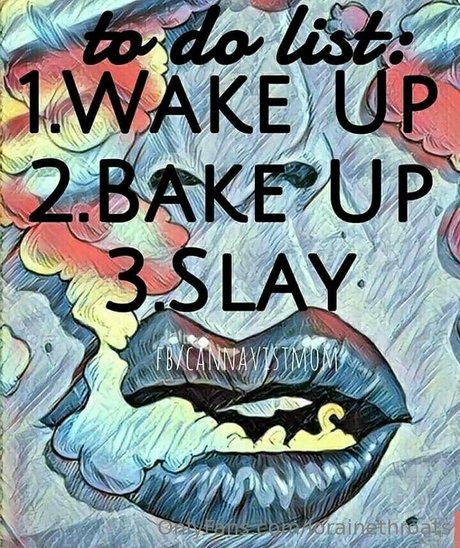 lorainethroats nice star galleries