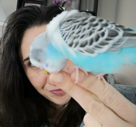 giantessmason porn star archive