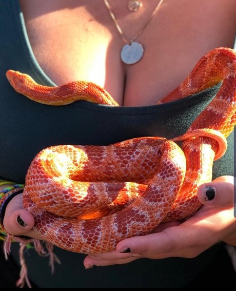 Isabellaell model best gallery