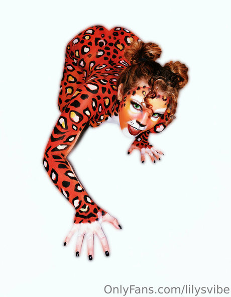 lilysvibe star hd archive