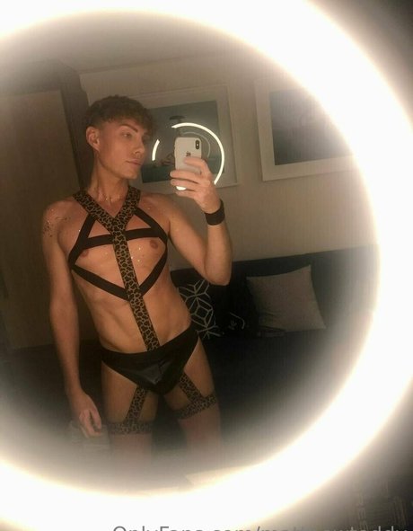 matthewteddy star high quality image