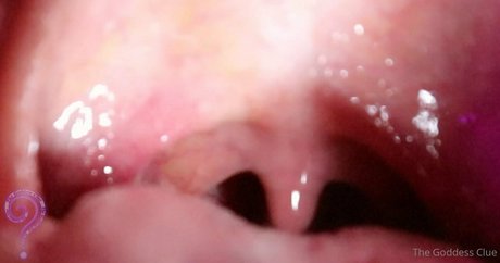 the goddess clue Quick photo