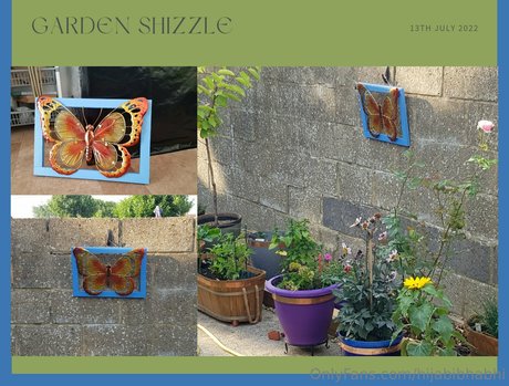 hijabibhabhi star sexy gallery