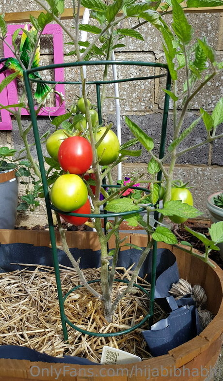 busty brunette onlyfans exclusive gallery