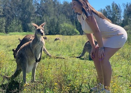 Tiana Hawkins nude pornstar gallery