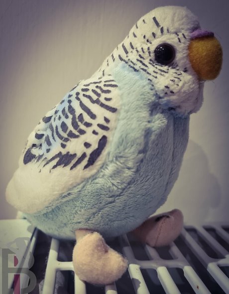 nudist onlyfans beautiful porn picture