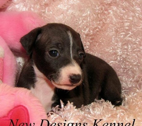 asian blowjob onlyfans naked photos