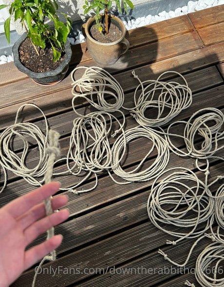 downtherabbithole666 top pornstar images