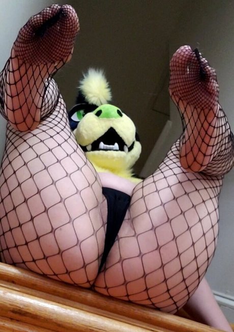 otterknots star hd photo