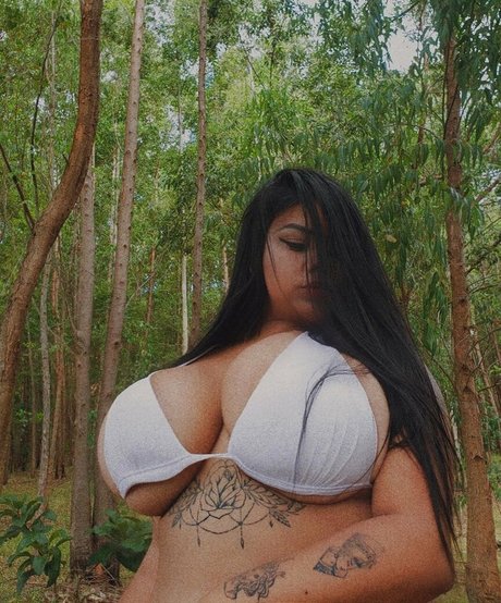 Pqnaai perfect model picture