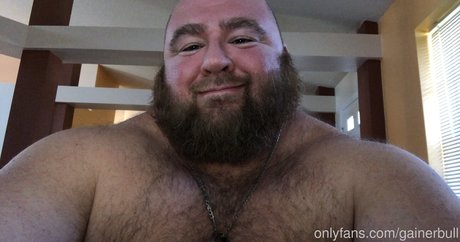 gainerbull model free archive