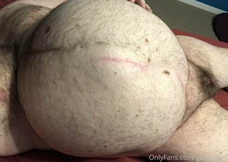 gainerbull star nice archive