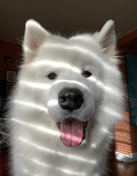 loandthecosmos2 model high quality galleries