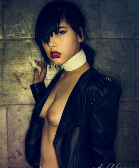 Peyton Rhodes star top img