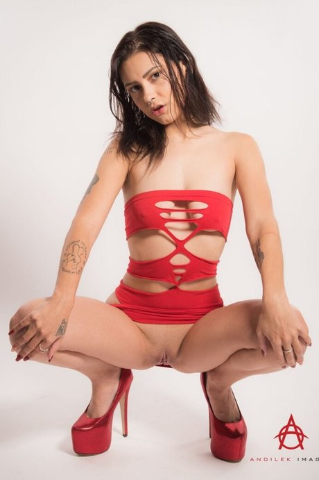 Peyton Rhodes star hd archive