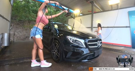 IvySky free model img