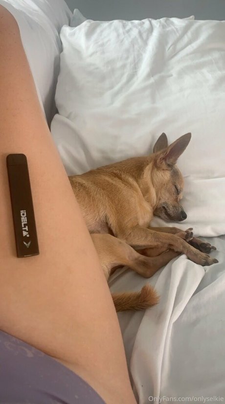 onlyselkie pornstar top archive