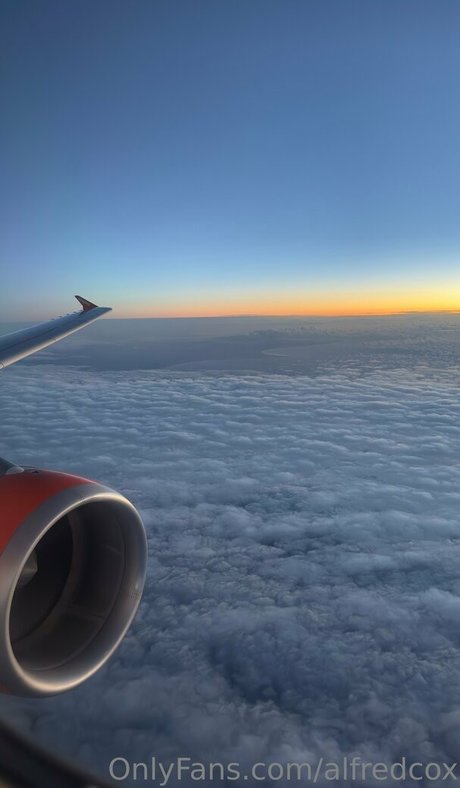 alfredcox model sex pic