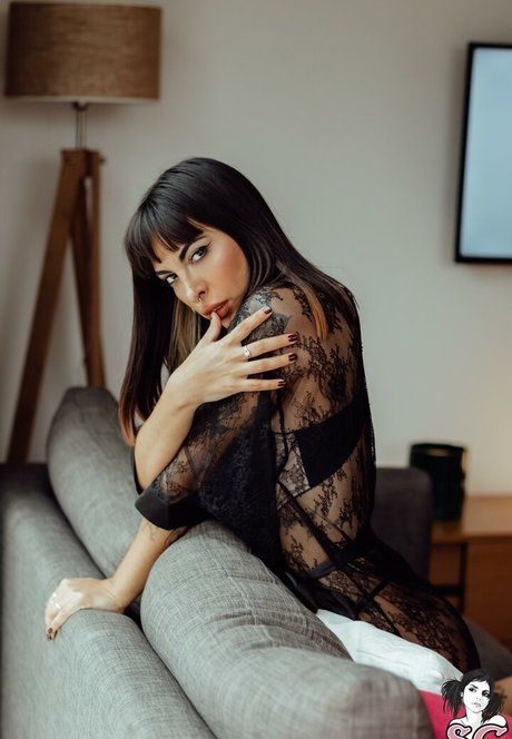 turkanotdead star hd archive